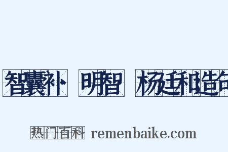 智囊补·明智·杨廷和造句是什么意思的图片